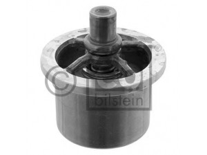 FEBI BILSTEIN 46333 termostatas, aušinimo skystis
50 00 691 267