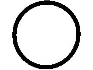 ELRING 447.011 tarpiklis, purškimo siurblys 
 Kuro mišinio formavimas -> Mišinio sudarymas -> Tarpiklis, vandens siurblys
027 997 83 48, BR 900