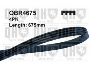 QUINTON HAZELL QBR4675 V formos rumbuoti diržai 
 Techninės priežiūros dalys -> Techninės priežiūros intervalai
60566058, 7704978, 7704978