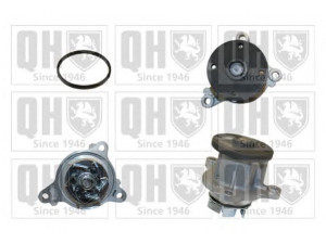 QUINTON HAZELL QCP3781 vandens siurblys 
 Aušinimo sistema -> Vandens siurblys/tarpiklis -> Vandens siurblys
25100-03010