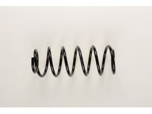 BILSTEIN 36-130139 spyruoklė 
 Pakaba -> Spyruoklės
90 473 796