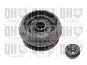 QUINTON HAZELL EMR6009 pakabos statramsčio atraminis guolis 
 Ašies montavimas/vairavimo mechanizmas/ratai -> Montavimas, pakabos statramstis
1023587, 1E00-28-012