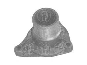 FARE SA 2296 aušinimo skysčio jungė 
 Aušinimo sistema -> Žarnelės/vamzdeliai/sujungimai -> Jungės
7700726976