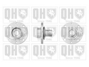QUINTON HAZELL QWH113 rato stebulė 
 Ašies montavimas/vairavimo mechanizmas/ratai -> Rato stebulė/montavimas -> Rato stebulė
46 798 592