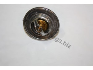 AUTOMEGA 301338044 termostatas, aušinimo skystis
133844, 133844