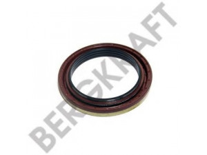 BERGKRAFT BK6120143 veleno sandariklis, rato stebulė
07185250, 40102140, 40102143, 7185250