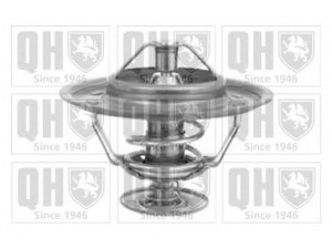 QUINTON HAZELL QTH125 termostatas, aušinimo skystis 
 Aušinimo sistema -> Termostatas/tarpiklis -> Thermostat
11 53 1 254 065, 11 53 1 256 667