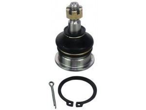 DENCKERMANN D110009 atramos/vairo trauklė 
 Ašies montavimas/vairavimo mechanizmas/ratai -> Sujungimai -> Atramos/vairo trauklė
51270-S01-013, 51270-S01-023, 51270-S04-013