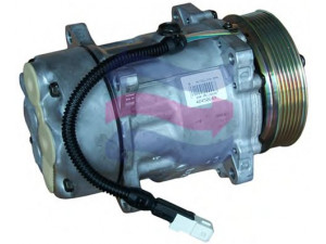 AUTOCLIMA 40450049CP kompresorius, oro kondicionierius 
 Oro kondicionavimas -> Kompresorius/dalys
9613260680, 9616821680, 9636729480
