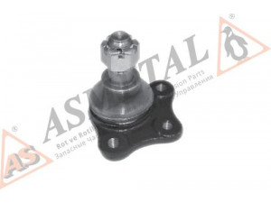 ASMETAL 10MZ04 atramos/vairo trauklė 
 Ašies montavimas/vairavimo mechanizmas/ratai -> Sujungimai -> Atramos/vairo trauklė
3252250, S08399356, S08334510, S08399356