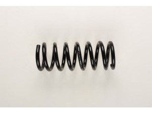 BILSTEIN 36-134472 spyruoklė 
 Pakaba -> Spyruoklės
251 411 105 C 952