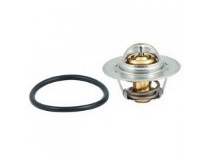 FISPA 94.184 termostatas, aušinimo skystis 
 Aušinimo sistema -> Termostatas/tarpiklis -> Thermostat
050121113C, 95588361, 95588361