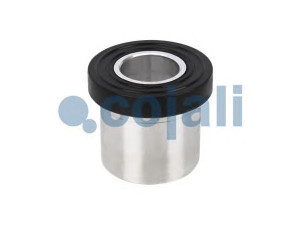 COJALI 6002232 remonto komplektas 
 stûmoklis