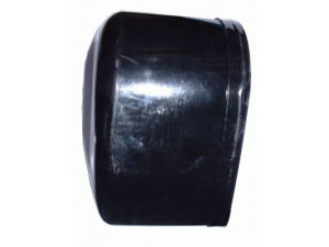 DELCO REMY 19024914 dangtelis