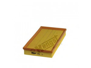 HENGST FILTER E463L oro filtras 
 Filtrai -> Oro filtras
487 6199