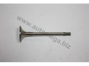 AUTOMEGA 1006410325 išleidimo vožtuvas 
 Variklis -> Variklio uždegimo laiko reguliavimo kontrolė -> Vožtuvų eilė -> Vožtuvai/dalys
0641325, 641325, 90410813