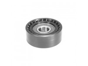 MAGNETI MARELLI 331316170101 įtempiklio skriemulys, V formos rumbuotas diržas
1088100