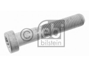 FEBI BILSTEIN 23707 tvirtinimo veržlės, balansyras
001 990 45 12