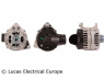 LUCAS ELECTRICAL LRA01979 kintamosios srovės generatorius 
 Elektros įranga -> Kint. sr. generatorius/dalys -> Kintamosios srovės generatorius
038903018D, 077903015K, 077903015L