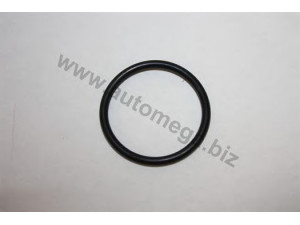 AUTOMEGA 1013360550 tarpiklis, termostatas 
 Variklis -> Tarpikliai -> Sandarikliai, aušinimo sistema
1336550, 1336550, 09129997, 1336550
