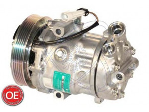 ELECTRO AUTO 20A1447 kompresorius, oro kondicionierius 
 Oro kondicionavimas -> Kompresorius/dalys
24461719, 6854020