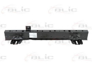 BLIC 6502-03-6734230P priekinis variklio gaubtas
53029FG0309P