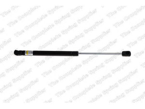 ROC GS1013 dujinė spyruoklė, bagažinė 
 Priedai -> Bagažinė/pakrovimo skyrius
96540939