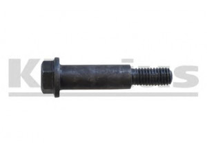 KLARIUS 440002 varžtas, išmetimo sistema; varžtas
854982, 90125082, 854982, 90125082