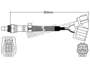 WALKER PRODUCTS 250-25067 lambda jutiklis 
 Išmetimo sistema -> Jutiklis/zondas
L33X 18 8G1, LFBL188G1B, LFBL188G1C