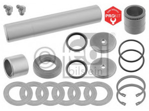 FEBI BILSTEIN 11369 remonto komplektas, pasukamojo kakliuko kaištis 
 Ašies montavimas/vairavimo mechanizmas/ratai -> Pasukamojo kakliuko remonto rinkinys -> Remonto komplektas, karbiuratorius
81.44205.6017, 81.44205.6017 S1