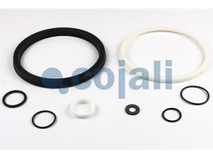 COJALI 6016026 remonto komplektas, darbinis cilindras
