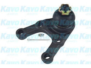 KAVO PARTS SBJ-5505 atramos/vairo trauklė 
 Ašies montavimas/vairavimo mechanizmas/ratai -> Sujungimai -> Atramos/vairo trauklė
HB212100, HB212200, MB176308, MB527351