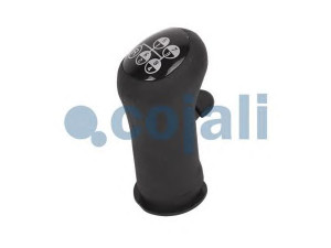 COJALI 2880163 pavarų svirties galvelė
20488061