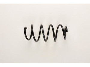 BILSTEIN 37-133030 spyruoklė 
 Pakaba -> Spyruoklės
1K0 411 105 BA