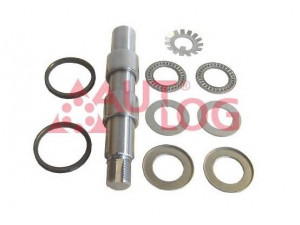 AUTLOG FT1753 remonto komplektas, pasukamojo kakliuko kaištis 
 Ašies montavimas/vairavimo mechanizmas/ratai -> Pasukamojo kakliuko remonto rinkinys -> Remonto komplektas, karbiuratorius
6316301449