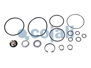 COJALI 6014028 remonto komplektas