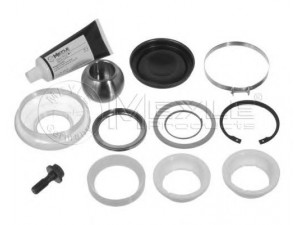 MEYLE 034 058 0020 remonto komplektas, trauklė 
 Ašies montavimas/vairavimo mechanizmas/ratai -> Valdymo svirtis/pasukamosios svirties sujungimas -> Vairo trauklės (valdymo svirtis, išilginis balansyras, diago
000 586 10 35