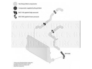 BORG & BECK BTH1066 kompresoriaus padavimo žarna 
 Išmetimo sistema -> Turbokompresorius
3C0145832M, 3C0145832M, 3C0145832M