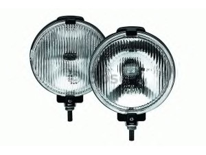 BOSCH 0 305 603 001 rūko žibintas
699528, 819 3042