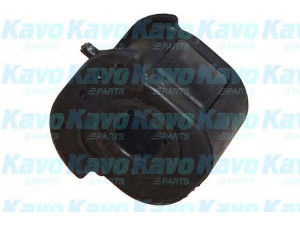 KAVO PARTS SCR-5502 valdymo svirties/išilginių svirčių įvorė 
 Ašies montavimas/vairavimo mechanizmas/ratai -> Valdymo svirtis/pasukamosios svirties sujungimas -> Montavimas/sutvirtinimas
MB808910, 30872511