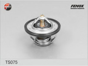 FENOX TS075 termostatas, aušinimo skystis 
 Aušinimo sistema -> Termostatas/tarpiklis -> Thermostat
21200-ED000, 21200-ED00A, 25500-2B000