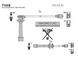 TESLA T508B uždegimo laido komplektas 
 Kibirkšties / kaitinamasis uždegimas -> Uždegimo laidai/jungtys
0K013-18-052A, 0K247-18-160A, 0K247-18-180A