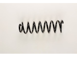 BILSTEIN 36-225378 spyruoklė 
 Pakaba -> Spyruoklės
60679733, 60682639, 60687578