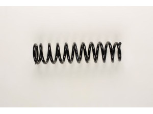 BILSTEIN 36-213474 spyruoklė 
 Pakaba -> Spyruoklės
51401-S, 51401-S1A-Y01, 51401-S1A-Y02