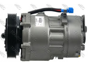 TEAMEC 8646023 kompresorius, oro kondicionierius 
 Oro kondicionavimas -> Kompresorius/dalys
701820805R, 7D0820805, 7D0820805Q