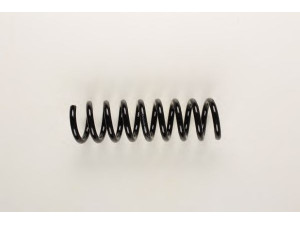 BILSTEIN 36-154135 spyruoklė 
 Pakaba -> Spyruoklės
211 324 05 04