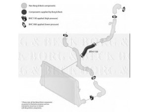 BORG & BECK BTH1150 kompresoriaus padavimo žarna 
 Išmetimo sistema -> Turbokompresorius
1K0145834P, 1K0145834P, 1K0145834BD