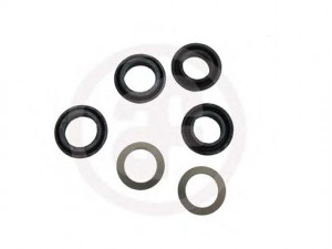 AUTOFREN SEINSA D1594 remonto komplektas, pagrindinis stabdžių cilindras 
 Stabdžių sistema -> Pagrindinis stabdžių cilindras
7874472, 8948135, 8993305, 9100629