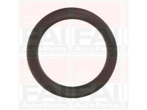 FAI AutoParts IM1157 tarpiklių rinkinys, įsiurbimo kolektorius 
 Variklis -> Cilindrų galvutė/dalys -> Įsiurbimo kolektoriaus tarpiklis/sandarinimo žiedas
0348.R2, 1148106