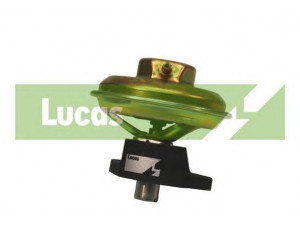 LUCAS ELECTRICAL FDR128 ERG vožtuvas 
 Variklis -> Išmetimo emisijos valdymas -> Išmetamųjų dujų recirkuliacija -> EGR vožtuvas/įsiurbimo kolektorius
851613, 0851613, 17087248, 17087249